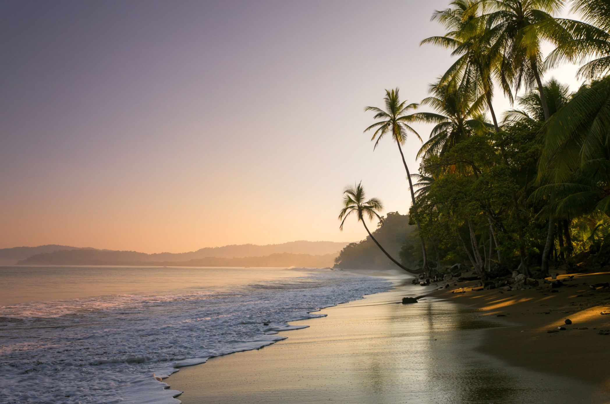 PURA VIDA 5D / 4N QUEPOS - GOLFO DULCE